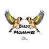 birds mohamed