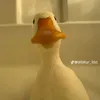 duck48292