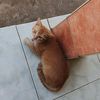 jack.purba12