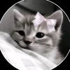jannat_ahmed31