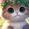 testmsy.oppo