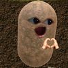 nishi_reh_man