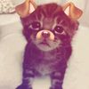kokess_505