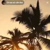 hung.nguyen73776