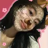 ms_srh.shin