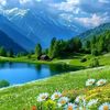user17635601209028