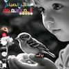 user4666106776858