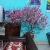 user26716726810704