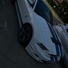 lemon_zillae