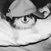 uzdenov.aaa