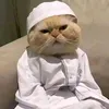 ali_lopu12