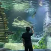 chin.phng.minh