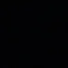 binin_2025