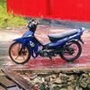 biawak476