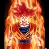 user7218454171982