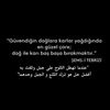 yabanc0541