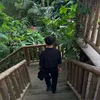 azadeen_