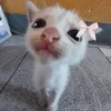 mile_na4ka6