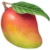 mango_599