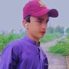 haroon.wazir8