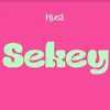 Hust Sekey