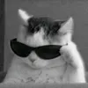 eduardo_0.0.1.4