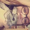nividi_