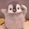 randompenguing