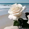 nanoy6227