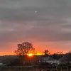 evie_dayimshuffling26