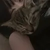 miiamorei