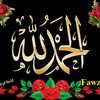 zakia.abdelhamed
