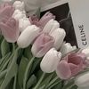 najm.ali85