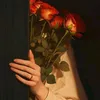 tulip.903