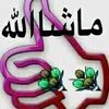 erwinsyah5431