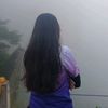 deiry_130