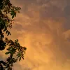 larisunshine1