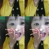 lmq060313