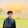 ranahamyoun001