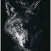 steelfang7