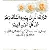 usmanaliv1