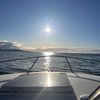 islandfisher1