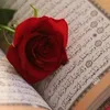 user1030329252945