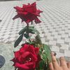 erhan.aslan12