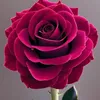 shahid.mehmood801