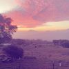 sky_yuhh.h