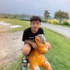 user290631511