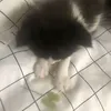 にゅ