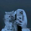 tena.mohamady
