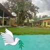 cherrymaedeguia